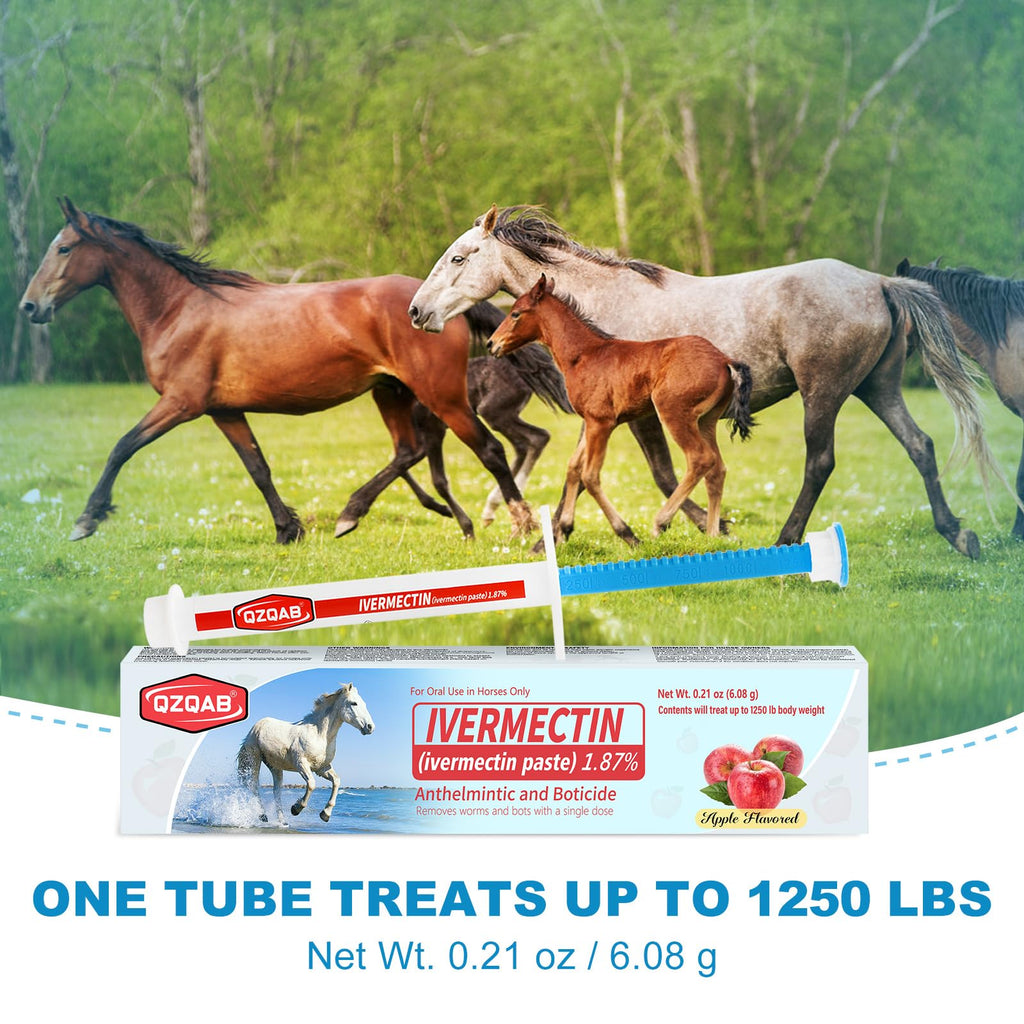 Ivermectin Equine Paste 1.87% – Apple Flavored Oral Dewormer for Horses, 6-Pack