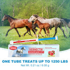 Ivermectin Equine Paste 1.87% – Apple Flavored Oral Dewormer for Horses, 6-Pack