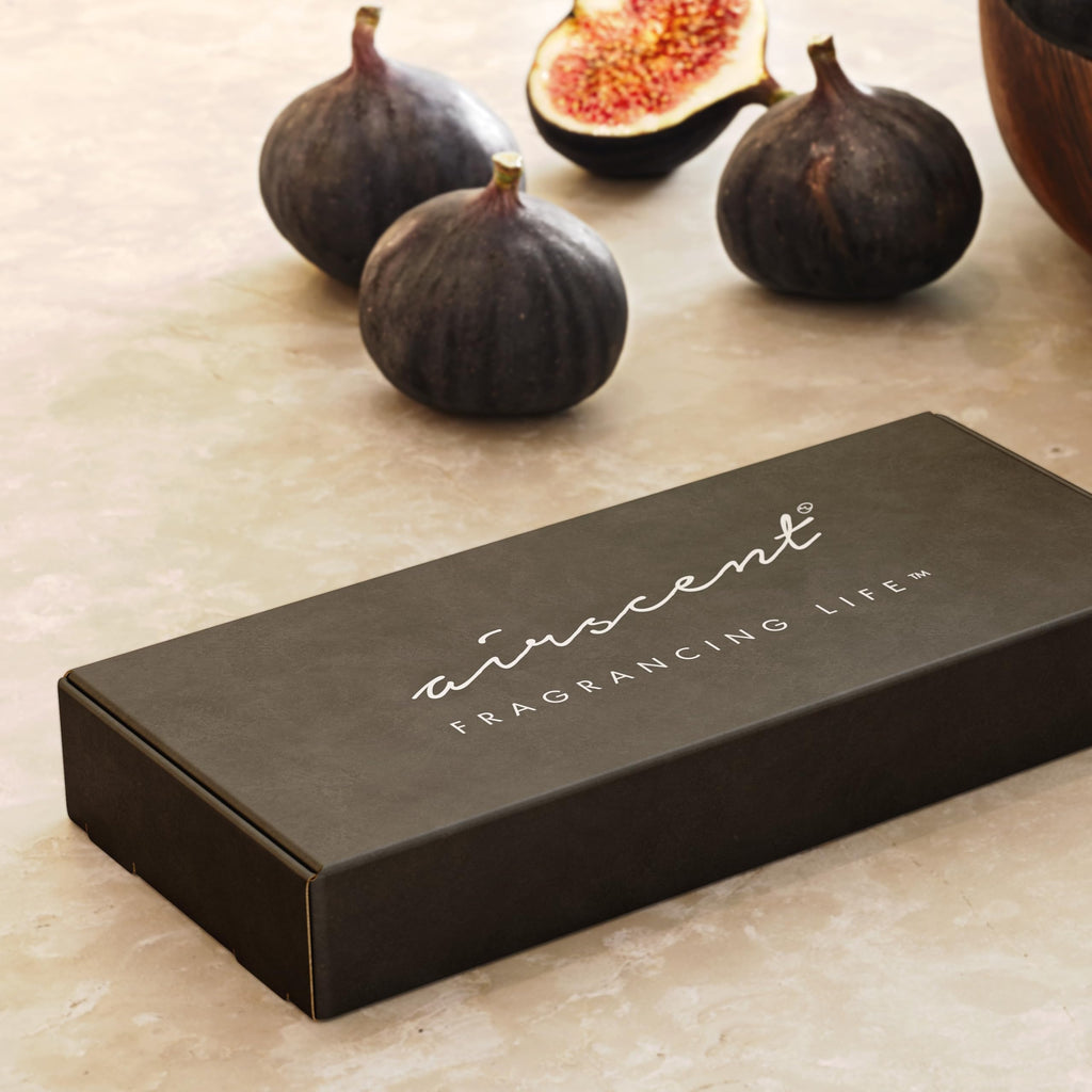 AirScent Holiday Diffuser Oil Fall Fireside 10 mL 5 Pack Gift Set