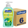 Buy now Softsoap Antibacterial Liquid Hand Soap, Fresh Citrus Scent Hand Soap, 11.25 Ounce, 6 Pack at indiglob india