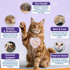 Taurine for Cats, Cat Vitamins & Multivitamin Treats, 500 Ct, Heart Support