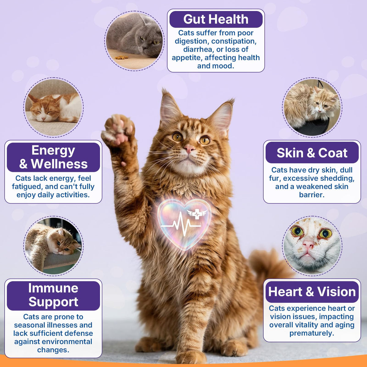 Taurine for Cats, Cat Vitamins & Multivitamin Treats, 500 Ct, Heart Support