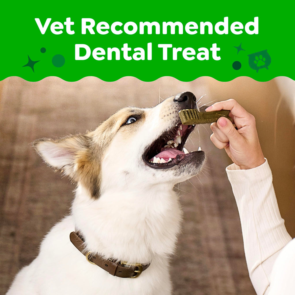 Greenies Teenie Natural Dental Dog Treats, Pumpkin Spice Flavor, 43 Count