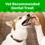 Greenies Teenie Natural Dental Dog Treats, Pumpkin Spice Flavor, 43 Count