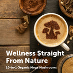 Micro Ingredients Organic Mega Mushroom Powder, 10-in-1 Mushroom Blend, 5oz