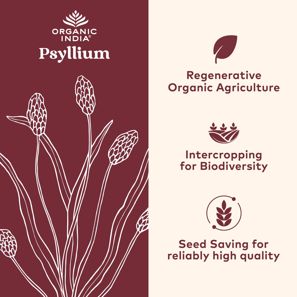 ORGANIC INDIA Psyllium Herbal Powder - Whole Husk Fiber, Healthy Elimination, Keto Friendly, Vegan, Gluten-Free, USDA Certified Organic, Non-GMO, Soluble & Insoluble Fiber Source - 180 Capsules
