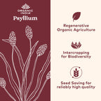 ORGANIC INDIA Psyllium Herbal Powder - Whole Husk Fiber, Healthy Elimination, Keto Friendly, Vegan, Gluten-Free, USDA Certified Organic, Non-GMO, Soluble & Insoluble Fiber Source - 180 Capsules