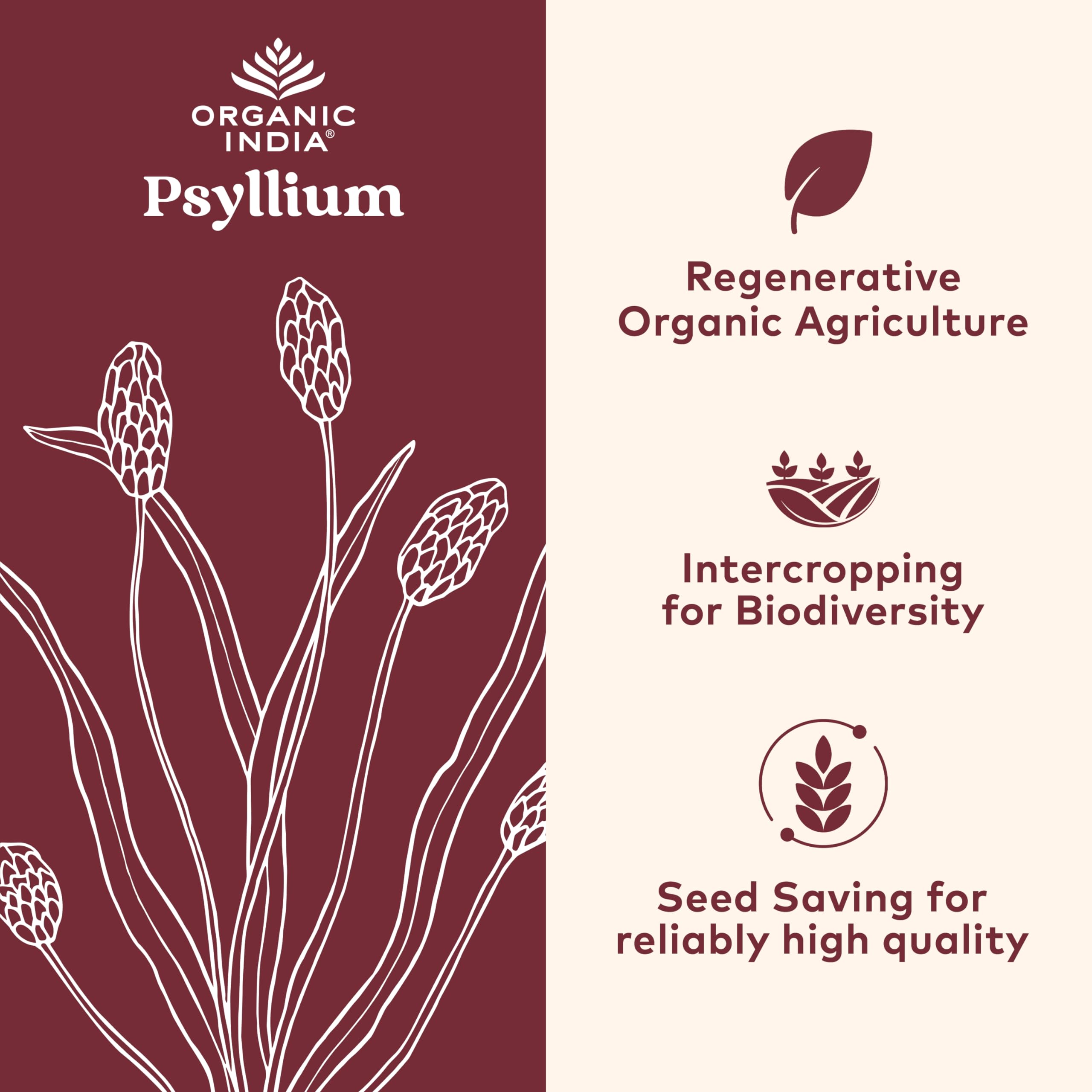 ORGANIC INDIA Psyllium Herbal Powder - Whole Husk Fiber, Healthy Elimination, Keto Friendly, Vegan, Gluten-Free, USDA Certified Organic, Non-GMO, Soluble & Insoluble Fiber Source - 180 Capsules