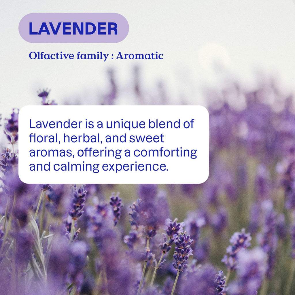 ATTITUDE Laundry Detergent Refill, EWG Verified, Lavender, 160 Loads