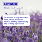 ATTITUDE Laundry Detergent Refill, EWG Verified, Lavender, 160 Loads