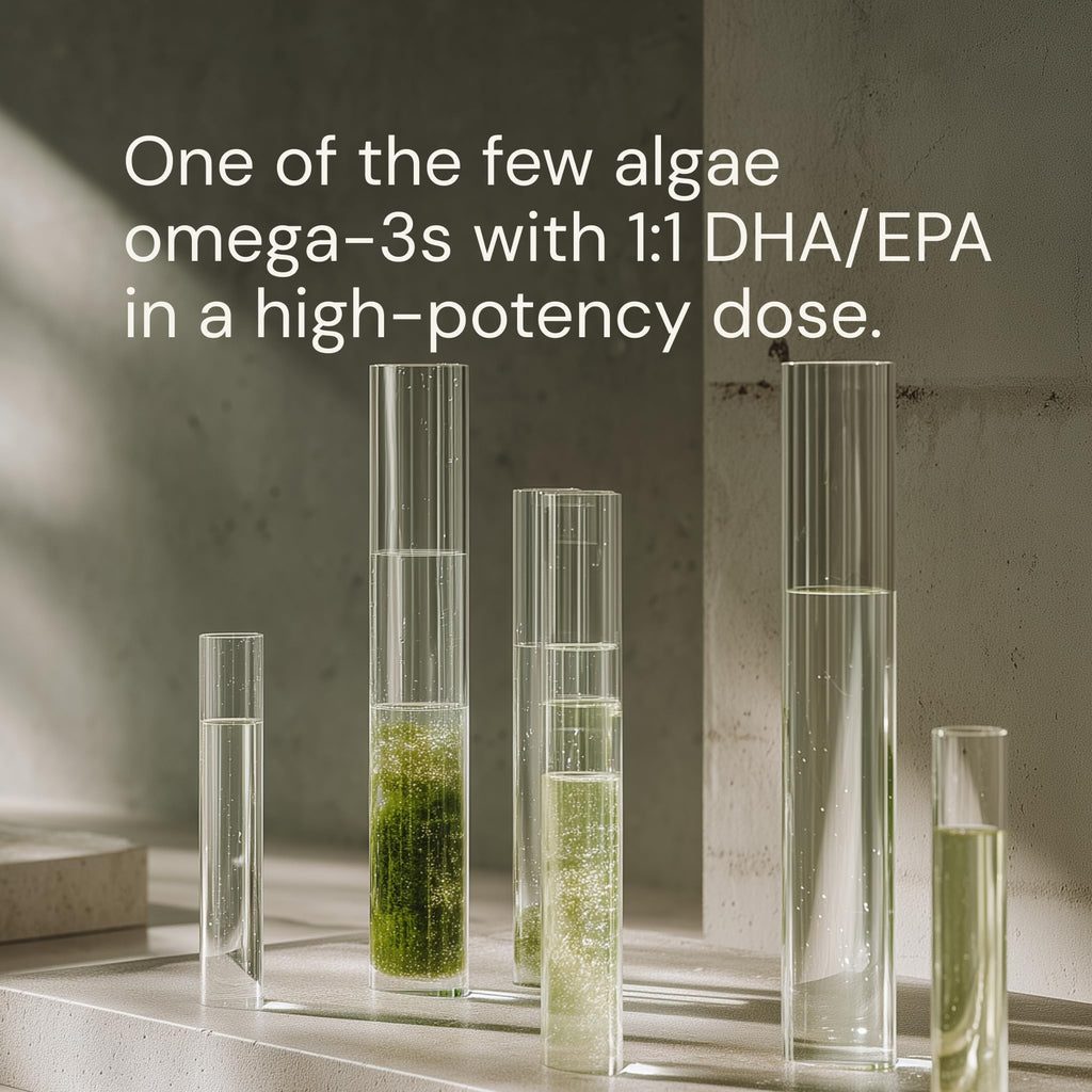 Blueprint Bryan Johnson Omega-3 - Vegan Algae Omega 3 Supplement with EPA/DHA - 800mg Plant-Based for Brain, Heart & Joint Support - High Absorption Triglyceride Form - 1:1 EPA/DHA