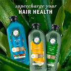 Herbal Essences Argan Oil Repair Shampoo & Conditioner Set, Moisturizes & Smoothes, Paraben-Free, Color-Safe, pH-Balanced, Citrus Scent, 20.2 Fl Oz, 2-Pack