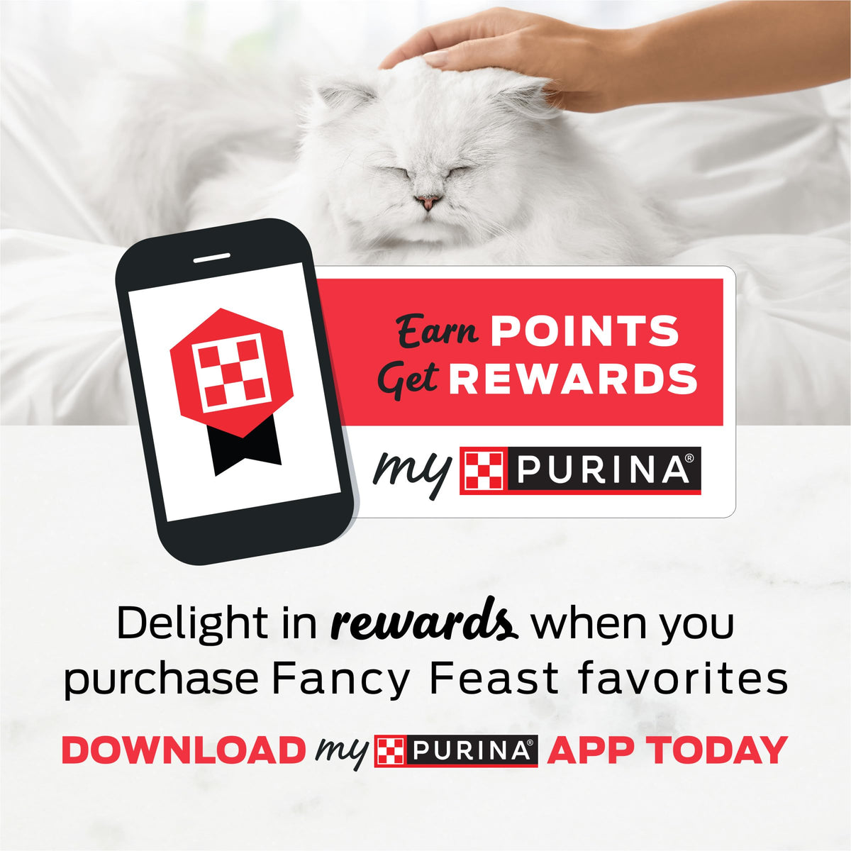 Purina Fancy Feast Delights with Cheddar Wet Cat Food, 3 oz cans, 24-Pack