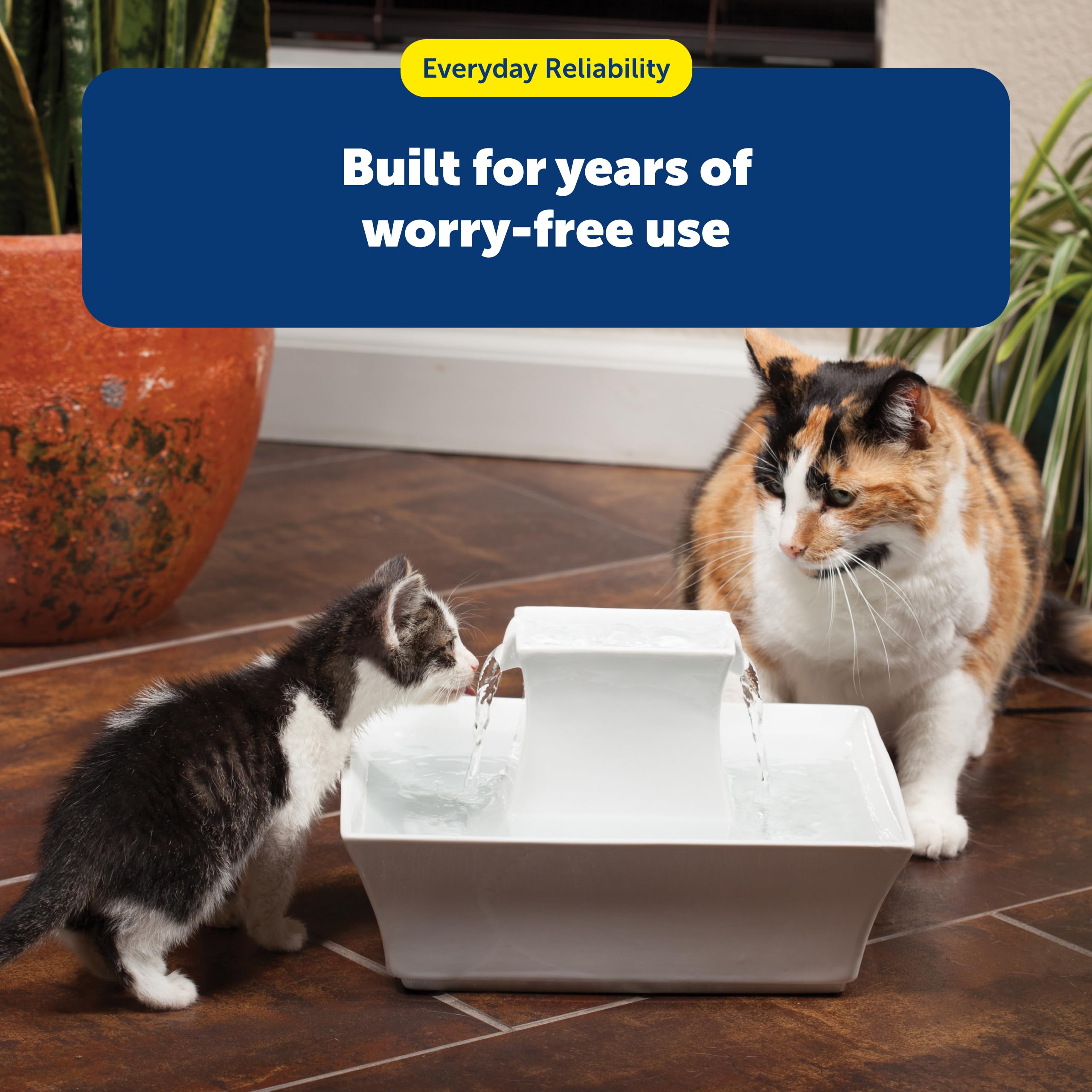 Buy now PetSafe Drinkwell Fountain Cleaning Kit - Deep Bowl Cleaning for Hard-to-Reach Areas of Compatible Cat Fountains - Removes Hidden Residue & Maintains Pump Performance at indiglob india