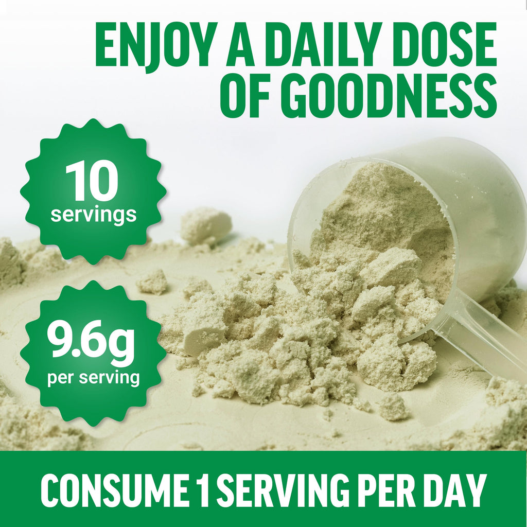 Force Factor Smarter Greens Daily Wellness Powder to Support Gut Health | Greens Superfood Powder for Bloating & Digestion, with 40+ Superfoods, 125 Million CFU of Probiotics, Unflavored, 10 Servings