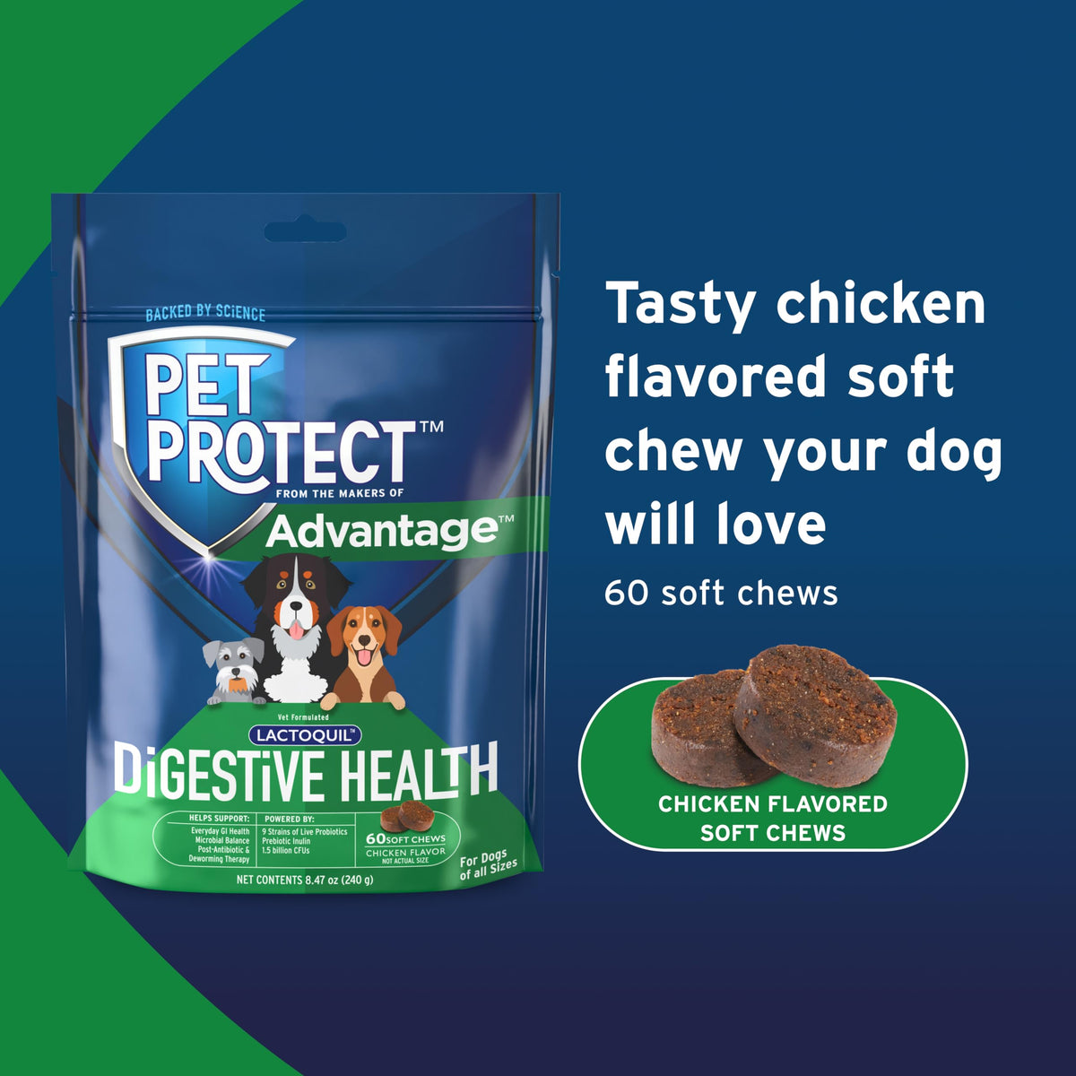 Pet Protect Digestive Health Supplement for Dogs, Chicken Flavor, 60ct