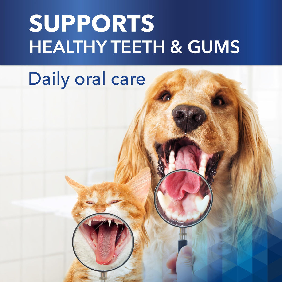 Clenz-A-Dent ProDen PlaqueOff Oral Health Flakes for Dogs and Cats, VOHC Accepted, Supports Plaque & Tartar Control, Freshens Breath, Natural Seaweed Formula, 40 g
