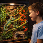 Grddaef Reptile Vines Plants for Terrarium, Flexible Vines Jungle Climbing Branch with Leaves Tank Decor for Snakes Bearded Dragons Geckos Hermit Crabs Lizards Chameleons
