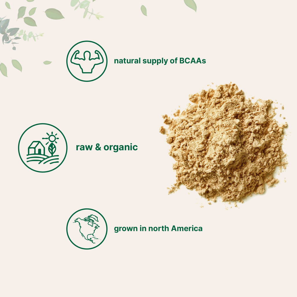 Micro Ingredients Organic Pea Protein Powder, 1KG (2.2 Pounds), North America Grown | Plant-Based Vegan Protein, Meatless Supplement, Natural Branched Chain Amino Acids | Non-GMO, Soy Free