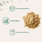 Micro Ingredients Organic Pea Protein Powder, 1KG (2.2 Pounds), North America Grown | Plant-Based Vegan Protein, Meatless Supplement, Natural Branched Chain Amino Acids | Non-GMO, Soy Free