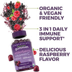 Viva Naturals Black Elderberry Vitamin C and Zinc Immune Support Gummies for Adults, Sambucus Elderberry Gummies with Raspberry Rush Flavor, USDA Organic, Non-GMO, (120 Count)