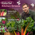 SVI 200 Rainbow Mixture Swiss Chard Seeds (Beta Vulgaris VAR. Cicla) - Five Color Silverbeet Chard, Colorful Stems, Non GMO Heirloom Seed - Perfect Vegetable Seeds in Seed Packets for Home Garden