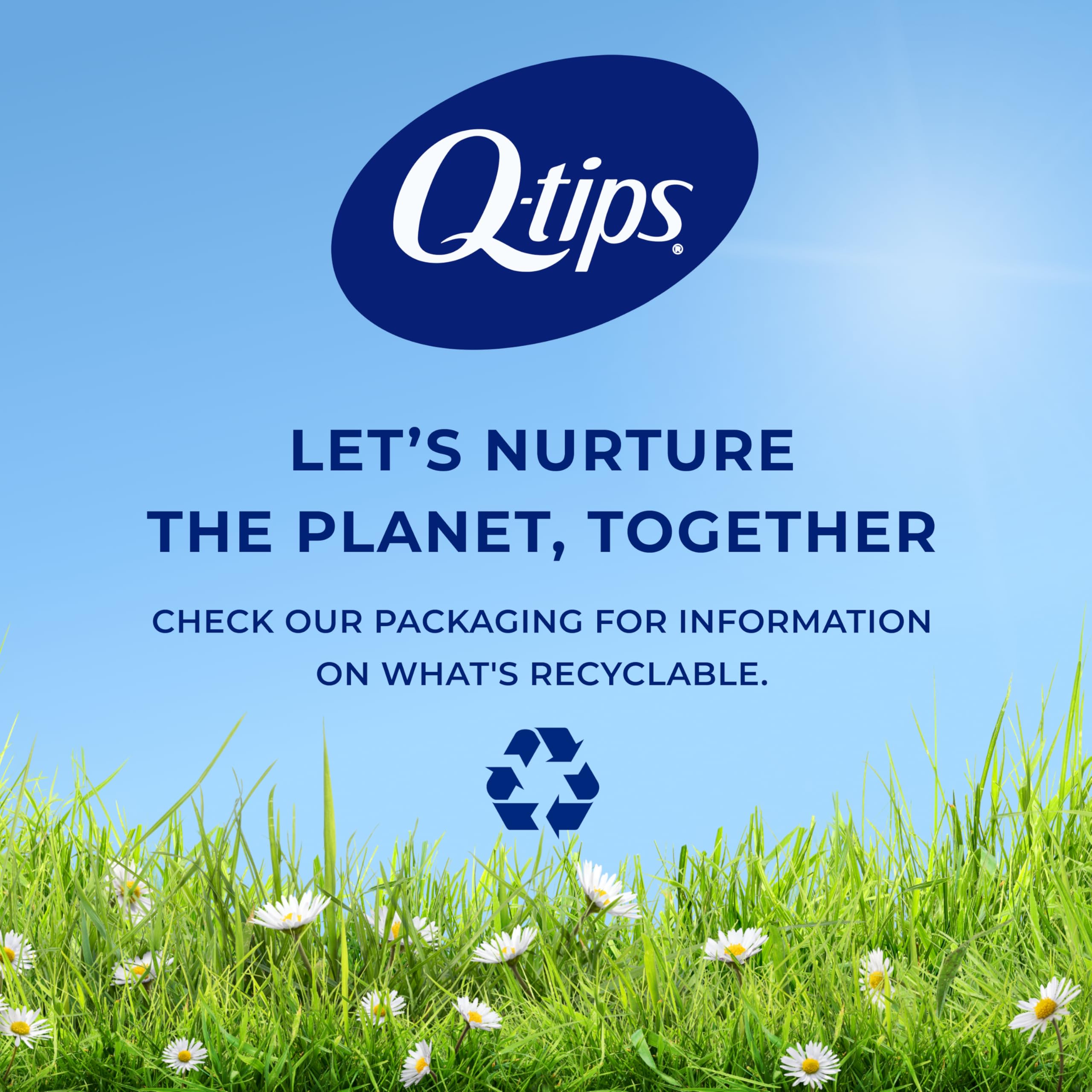Q-tips Cotton Swabs, 500 Count (Pack of 2)