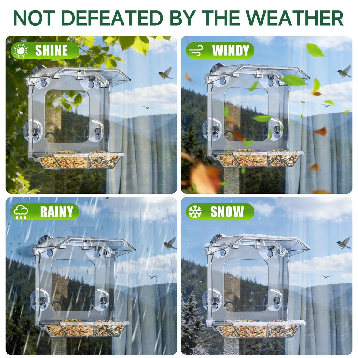 Window Bird Feeder with 4 Extra Strong Suction Cups (2.5 Inch)