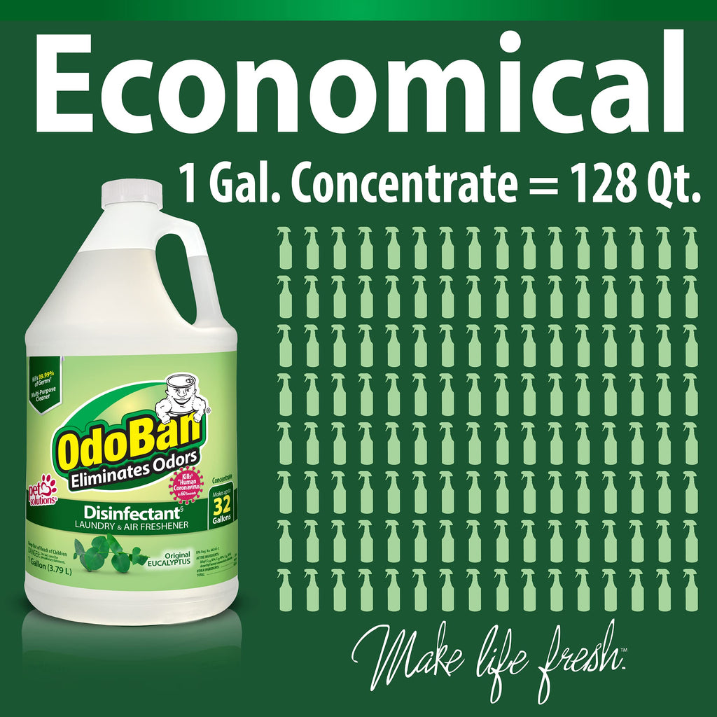 OdoBan Disinfectant Odor Eliminator and All Purpose Cleaner Concentrate, Original Eucalyptus Scent, 1 Gallon