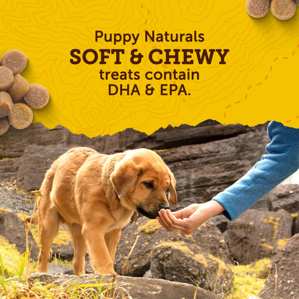 Zuke’s Puppy Naturals Training Dog Treats, Salmon Recipe, 5 oz Pouch