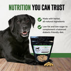 Old Dog Cookie Company Tiny Diabetic Dog Treats | All Natural, 2 Calorie, Vet Approved Pet Snacks | Top Treat for Dogs | Healthy Chews for Large, Medium & Small Breeds | 8 oz