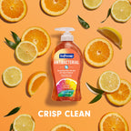 Buy now Softsoap Antibacterial Liquid Hand Soap, Crisp Clean Scent, 11.25 Ounce, 6 Pack at indiglob india