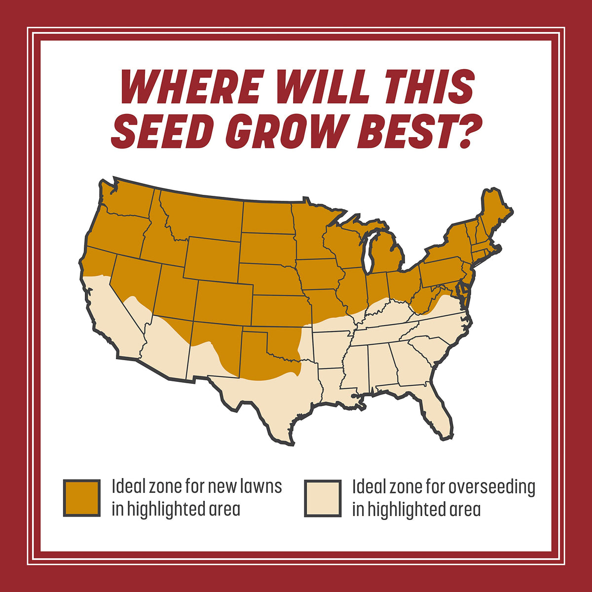 Pennington Smart Seed Perennial Rye Grass Seed Plus Fertilizer, 3 lb