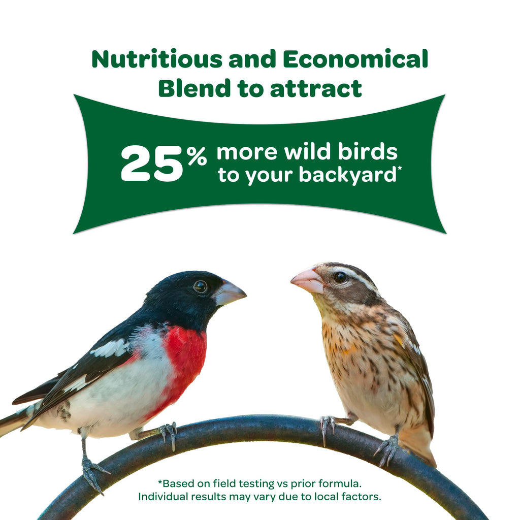 Kaytee Wild Bird Food Basic Seed Blend, 5 lb