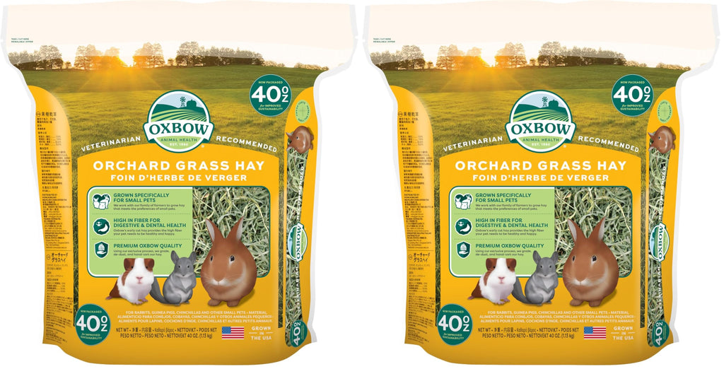 Buy now Oxbow Orchard Grass Hay, Rabbit & Guinea Pig Hay, High Fiber for Digestive Health, Grown in the USA, Veterinarian Recommended Small Pet Supplies, for Rabbits, Guinea Pigs, & Chinchillas, 15 oz. Orchard Grass 40 Ounce (Pack of 2) at indiglob india
