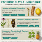 Lymphatic Drainage Supplements, Lymphatic Drainage Capsules for Immune Health & Fluid Balance – Natural Herbal with Echinacea, Dandelion & Burdock Root, Non-GMO, Vegan, Gluten Free - 120 Capsules