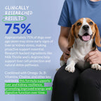 Milk Thistle for Dogs 120 Tablets - Liver, Kidney & Detox Support | Silymarin with Choline & L-Arginine. Supports liver detox, kidney function & hepatic health with EPA & DHA.