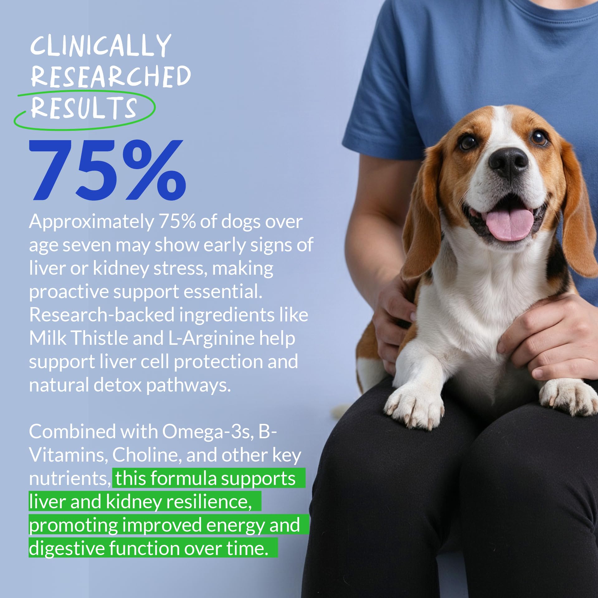 Milk Thistle for Dogs 120 Tablets - Liver, Kidney & Detox Support | Silymarin with Choline & L-Arginine. Supports liver detox, kidney function & hepatic health with EPA & DHA.