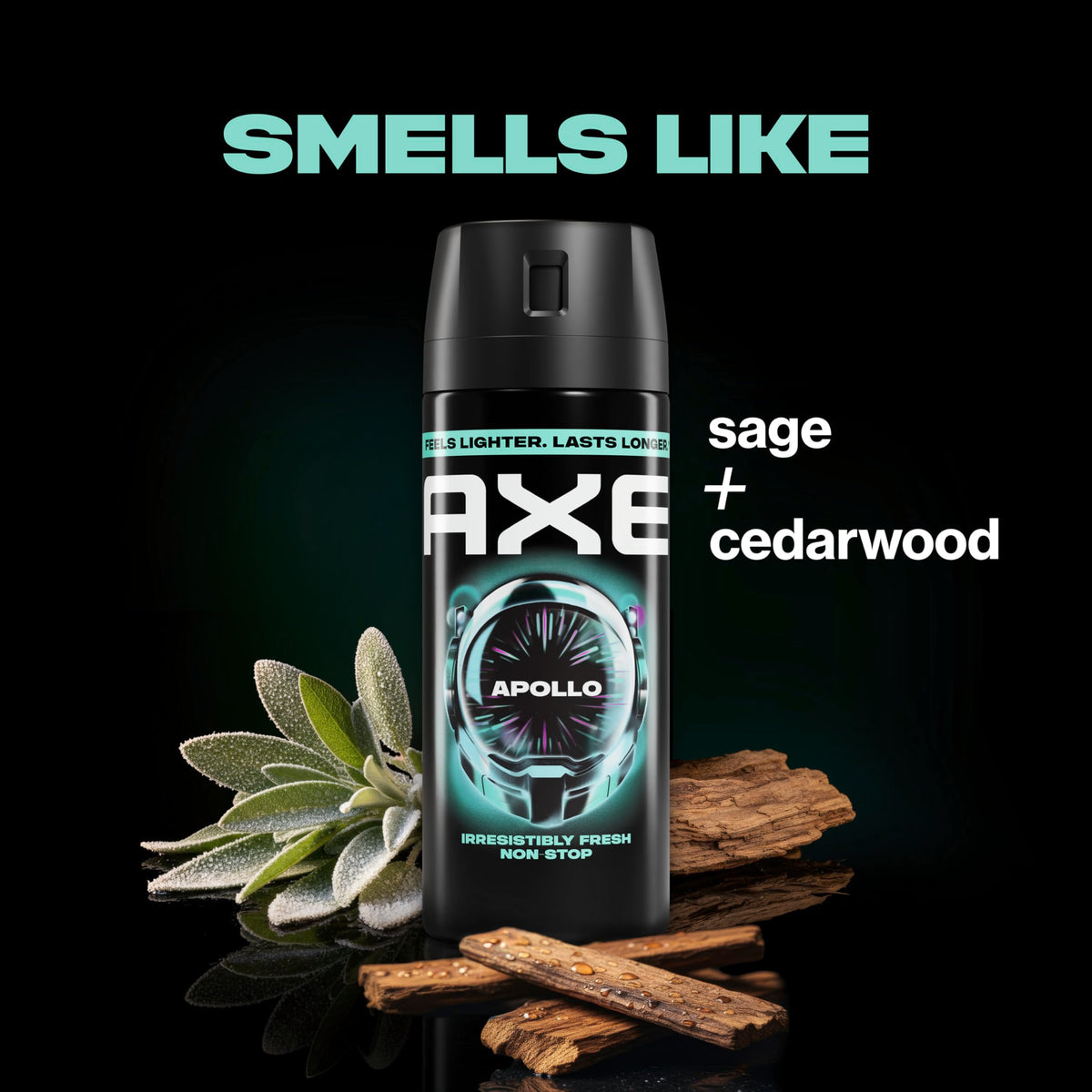 AXE Body Spray 4 Count Apollo 48 Hour All Over Fresh 2.9 oz