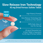 21st Century Slow Release Iron 45mg Tablets, Gentle on Stomach, 60 Count | High-Potency Ferrous Sulfate, Compare VS. Slow FE® & Healthy Red Blood Cells, Gluten Free, No Added Yeast, For Women & Men