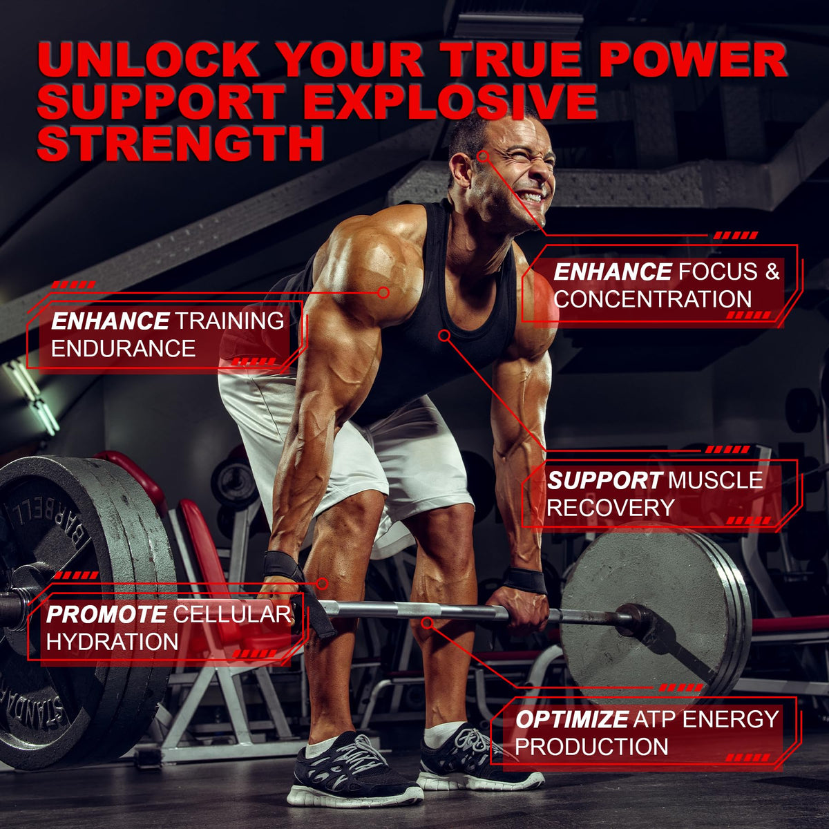 Creatine Monohydrate Gummies for Men & Women with L-Carnitine & Taurine