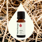 Buy now Plant Therapy Vetiver Essential Oil 100% Pure, Undiluted, Natural Aromatherapy, Therapeutic Grade 10 mL (1/3 oz) at indiglob india