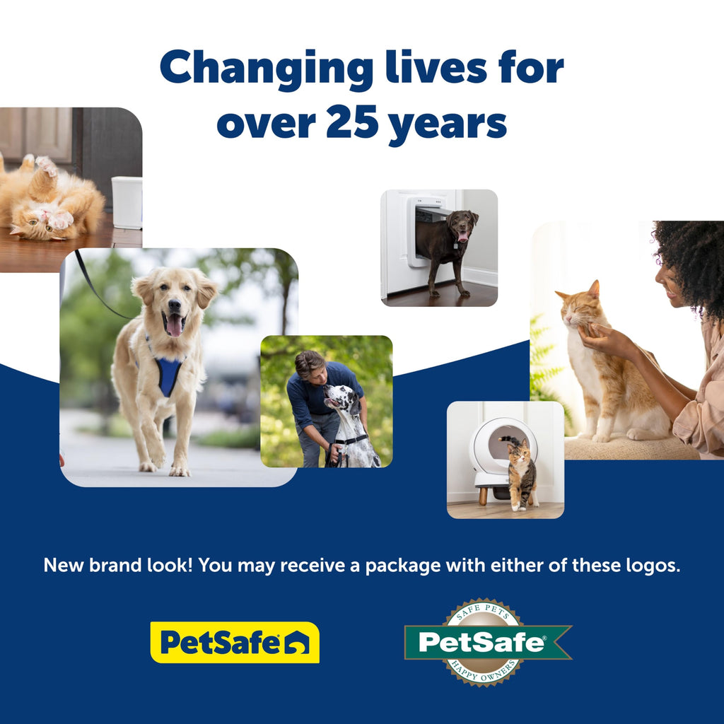 Buy now PetSafe ScoopFree Premium Natural Cat Litter - Eco-Friendly Long-Lasting Litter - High Absorbency & Low-Tracking Design - Non-Clumping Pebbles - 4.2 lb Bag - 2 Pack at indiglob india