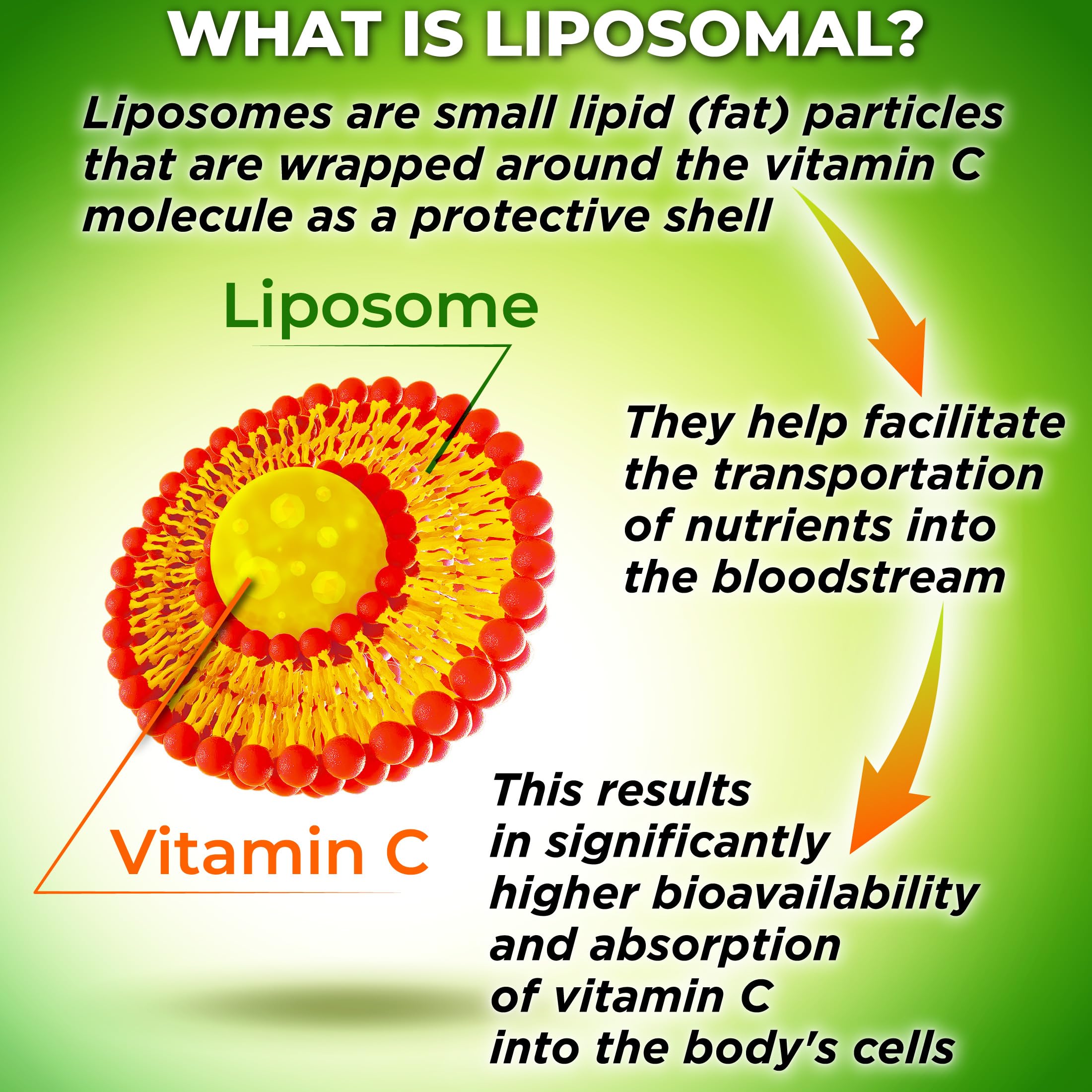 Liposomal Vitamin C Liquid Gel Capsules 1100mg - Made with Organic Acerola | Vitamin C Capsules for Immune Support - High Potency, Enhanced Absorption & Bioavailability, Daily Antioxidant Support, 120ct