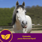 Horse Health Red Cell, Liquid Iron-Mineral Supplement 1 Qt, 16-Day Supply