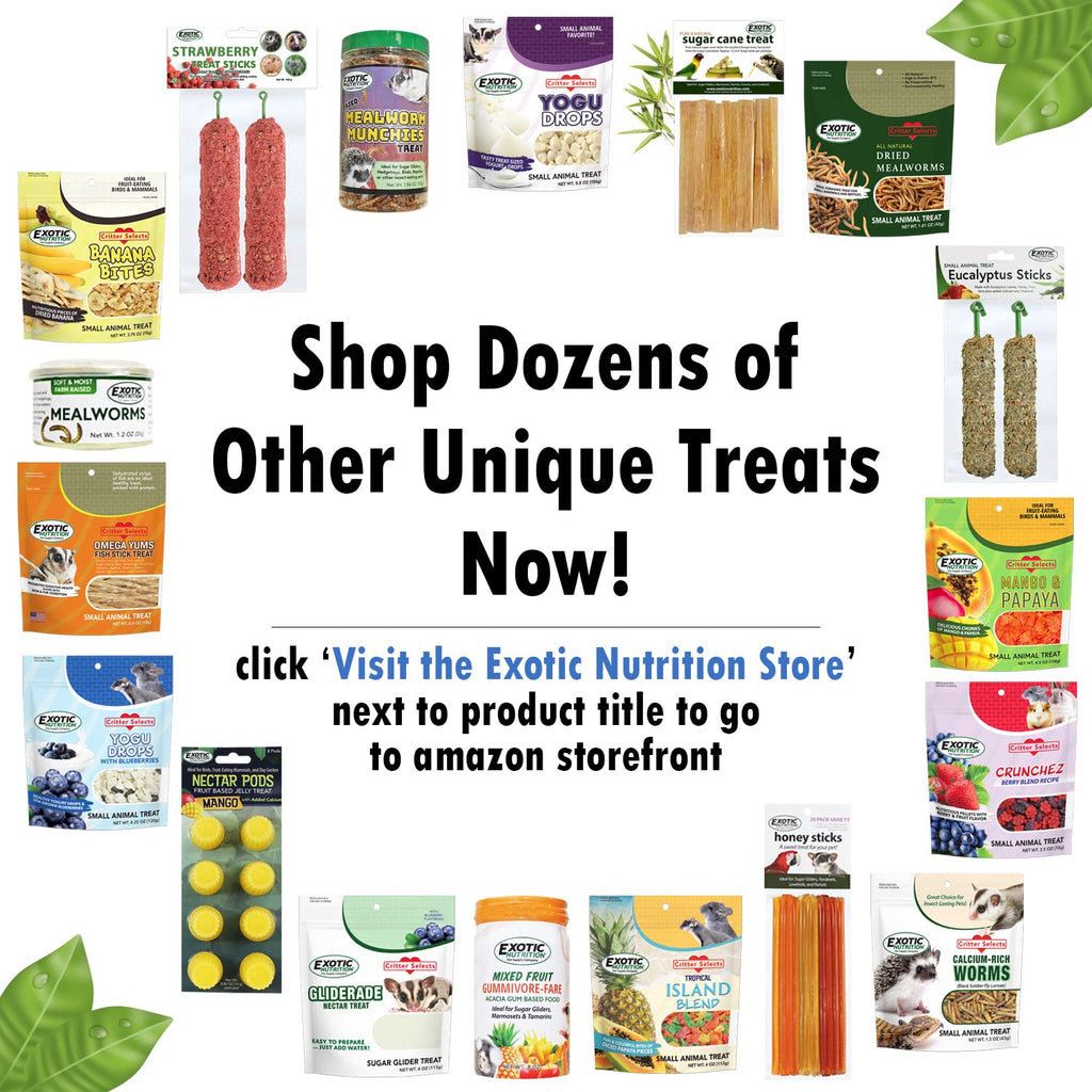 Exotic Nutrition Muncher Mix (3.5 oz) - Natural & Nutritional Treat for Hamsters, Gerbils, Rats, Degus, and Squirrels
