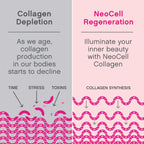 NeoCell Collagen Peptides Soft Chews | 60 Chewables | Beauty Bursts Supplement | with Hyaluronic Acid | Hair, Skin, & Nails | Fruit Punch Flavor