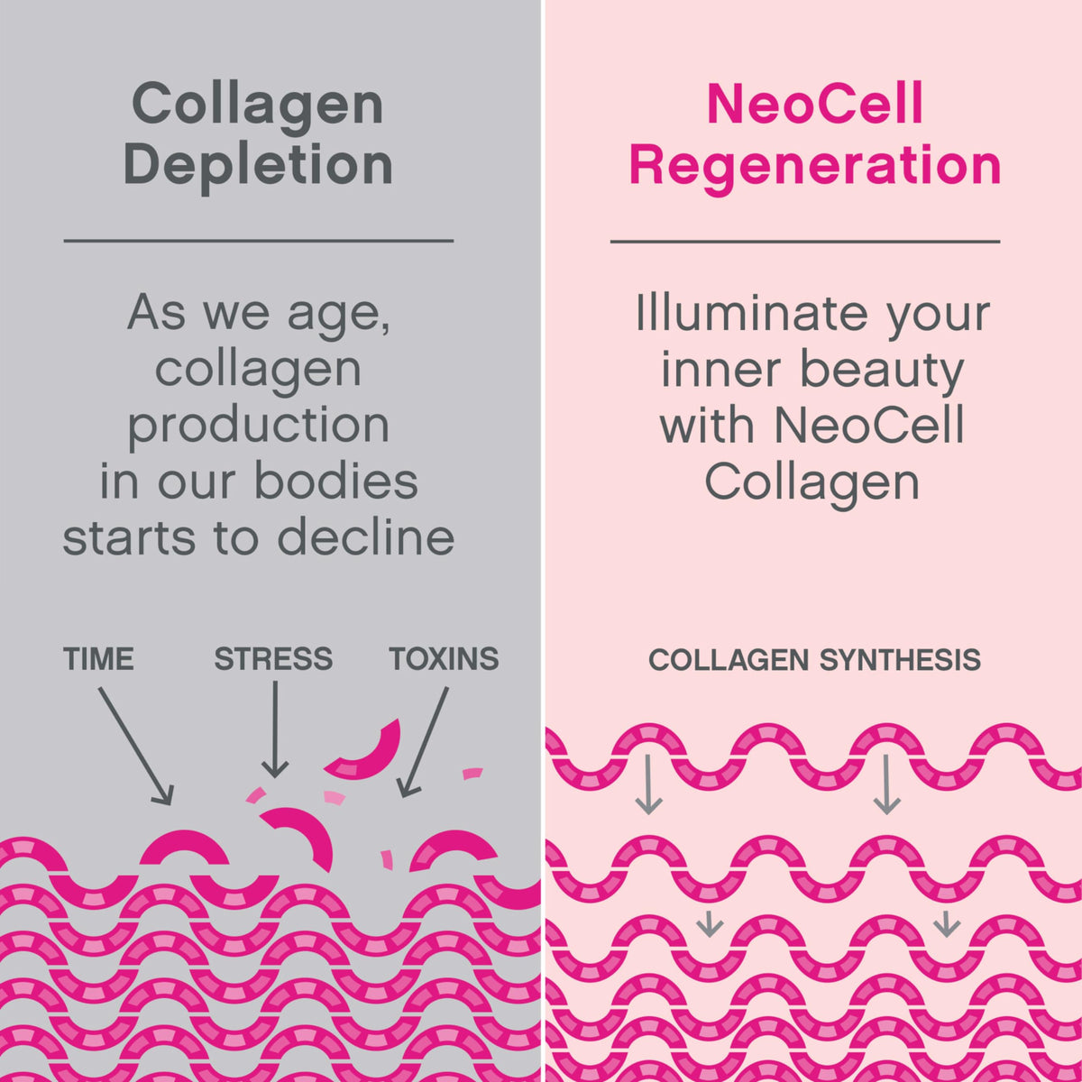 NeoCell Collagen Peptides Soft Chews | 60 Chewables | Beauty Bursts Supplement | with Hyaluronic Acid | Hair, Skin, & Nails | Fruit Punch Flavor