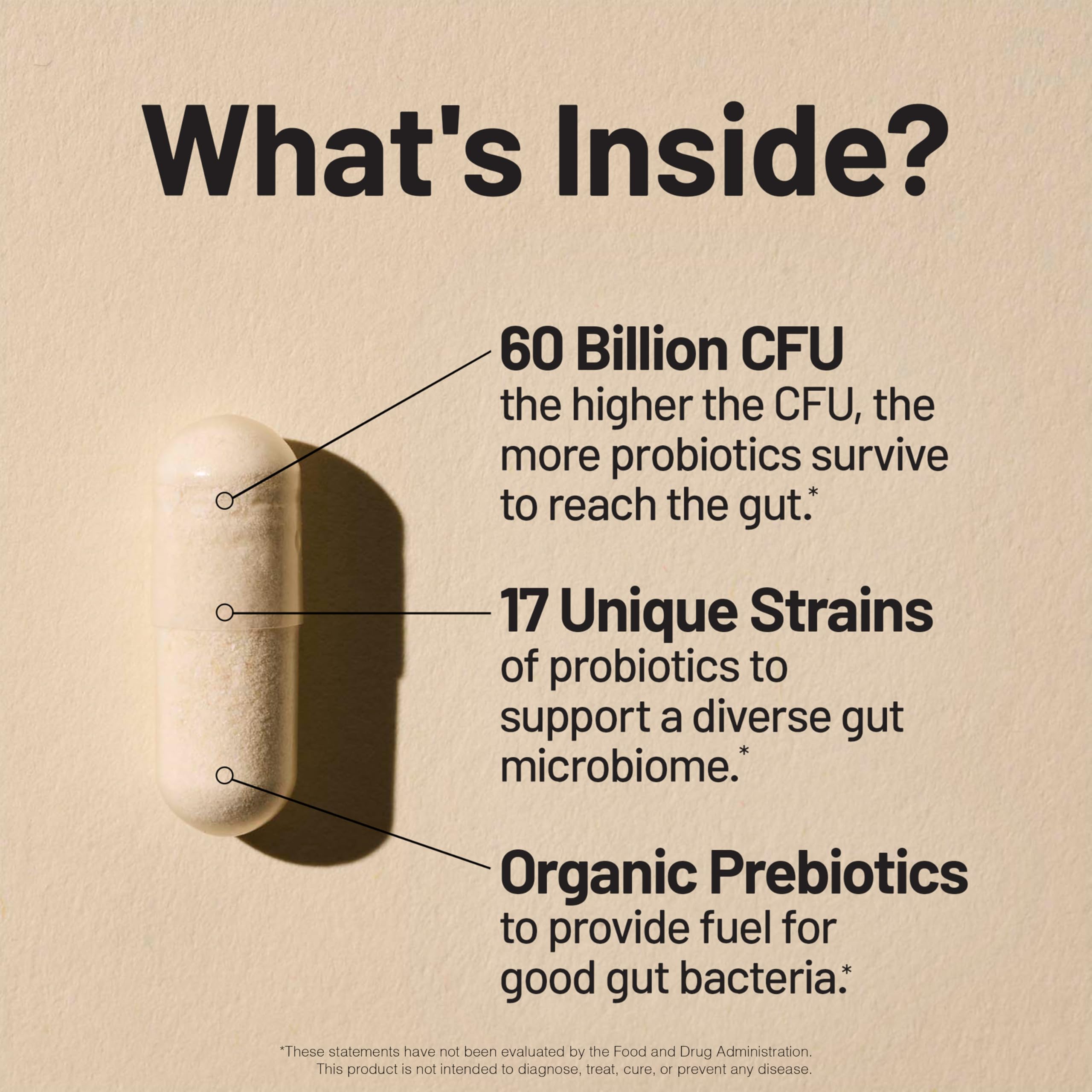 NatureWise Probiotics 60 Billion CFU - 17 Strains + Organic Prebiotics - Immune, Digestive & Gut Health Support for Women & Men - Vegetarian, Gluten-Free, Non-GMO - 60 Capsules[2-Month Supply]