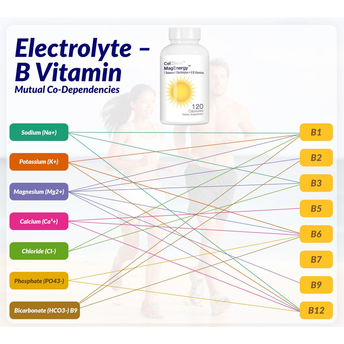 CELCLENE MagEnergy 7 Electrolytes, 8 Super B Vitamins, High Magnesium, High Methyl B12, Methyl Folate, D3/K2, Biotin, Zinc for Hydration, L-Theanine, Choline, Green Tea, Ginger Extracts